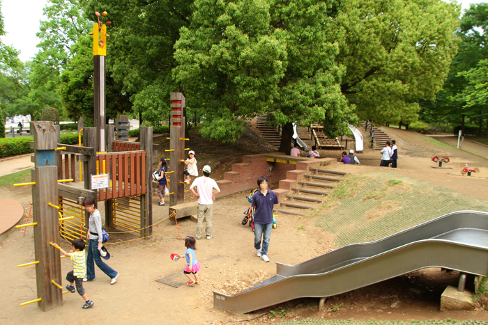 柏の葉公園 冒険の砦 アスレチック