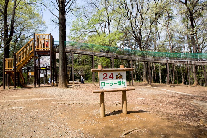 国営武蔵丘陵森林公園 冒険コース(フィールドアスレチック) 24番 ローラー滑り台