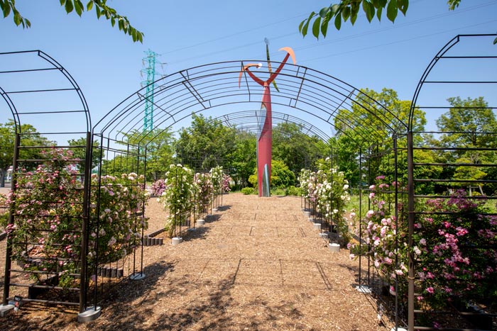 埼玉スタジアム2002公園 2019年バラ園 モニュメント広場