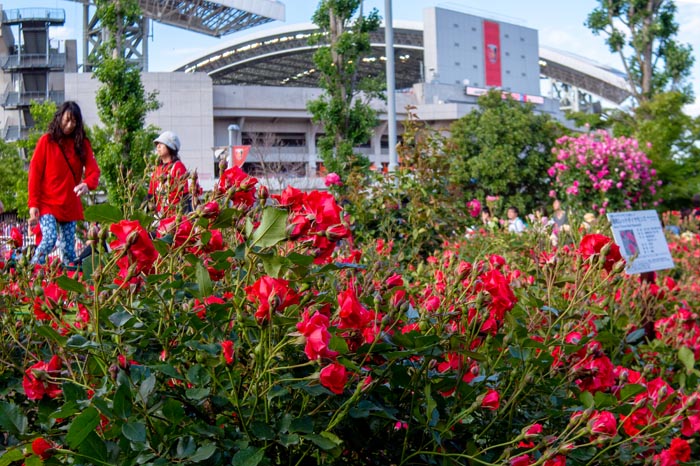 埼玉スタジアム02公園 さいたま市緑区 レッズローズ 公園へ行こう