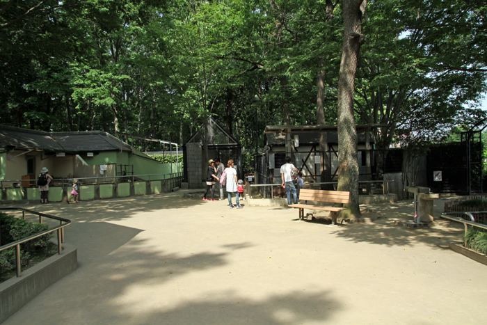 上尾丸山公園　小動物コーナー