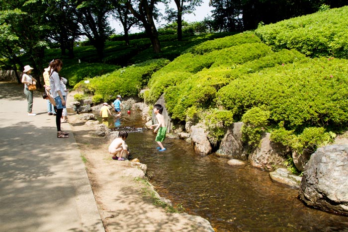 上尾丸山公園 水遊び場