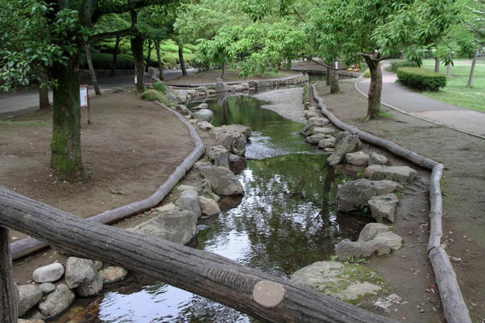 上尾丸山公園 水遊び場