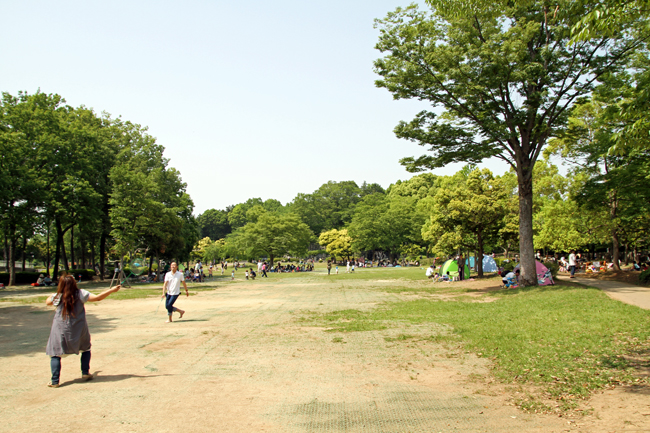 上尾丸山公園　芝生広場