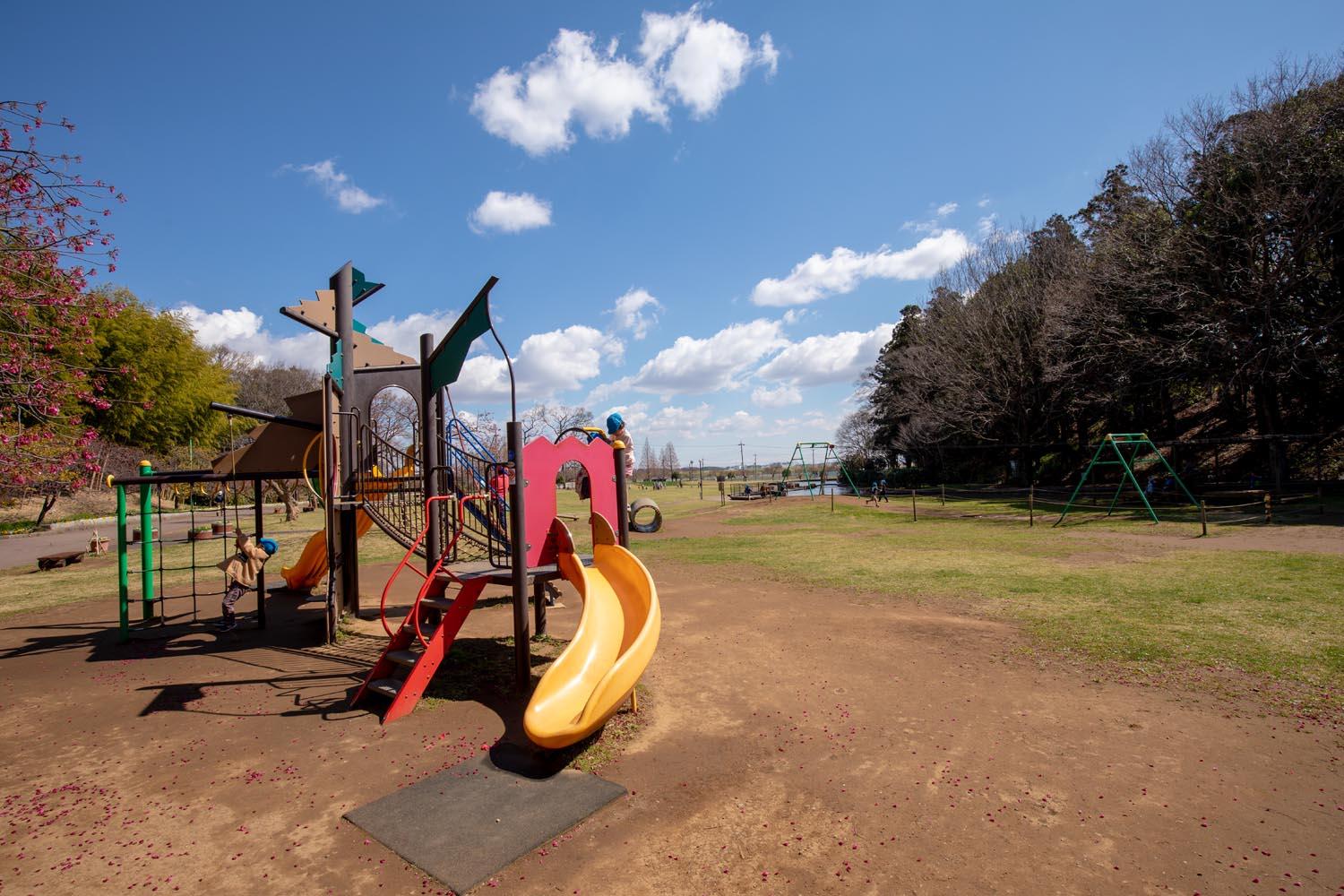 あけぼの山農業公園 あけぼの山公園 柏市 中型複合遊具とターザンロープ 公園へ行こう