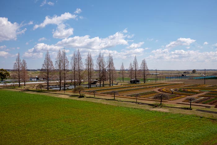 あけぼの山農業公園・あけぼの山公園 風車と風車前広場