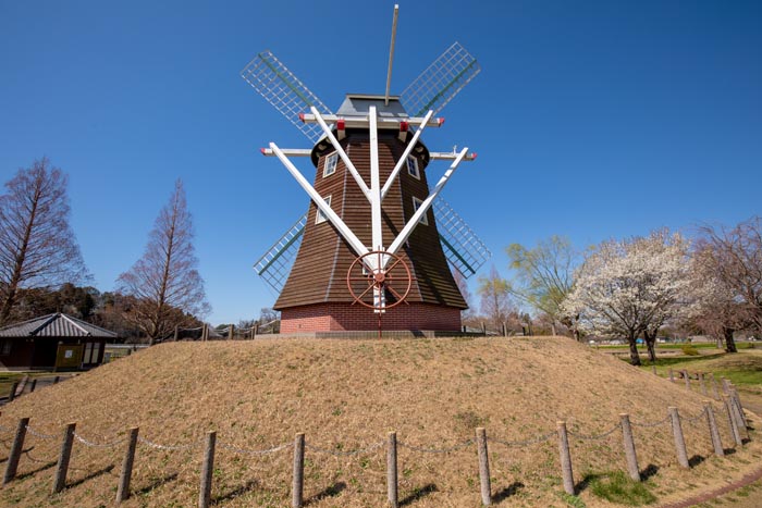 あけぼの山農業公園・あけぼの山公園 風車と風車前広場