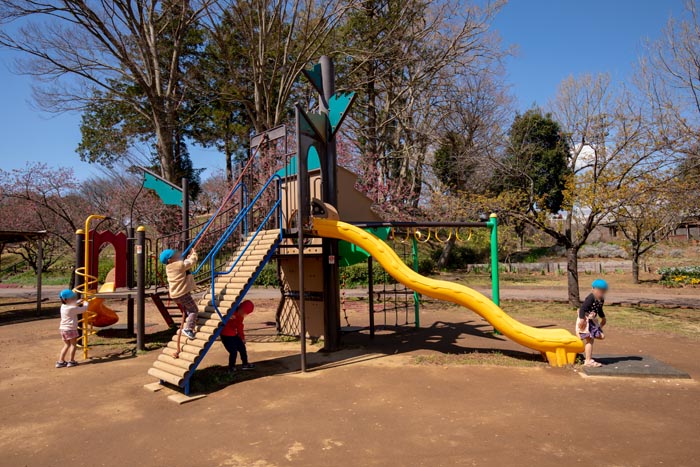 あけぼの山農業公園・あけぼの山公園 中型複合遊具とターザンロープ
