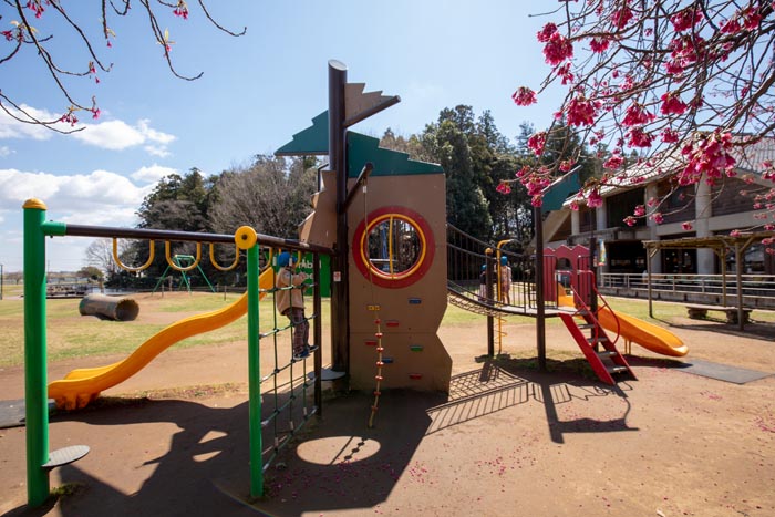 あけぼの山農業公園・あけぼの山公園 中型複合遊具とターザンロープ