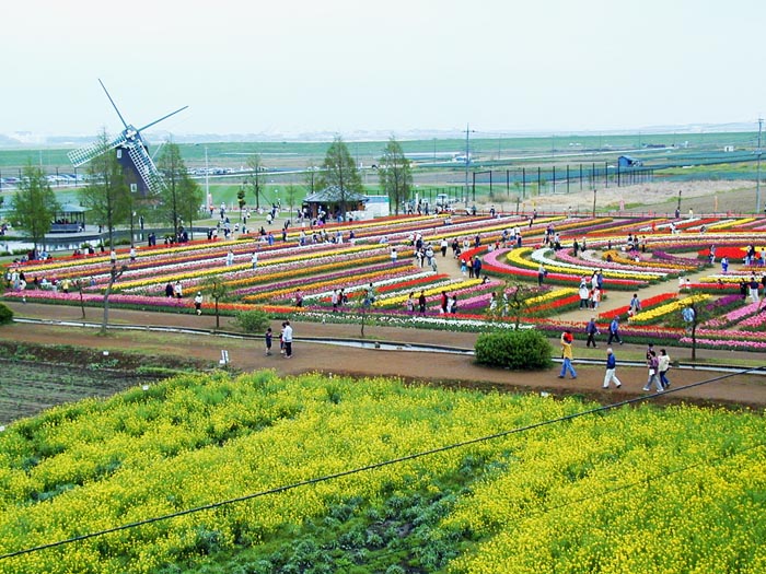 あけぼの山農業公園 チューリップフェスティバル2002