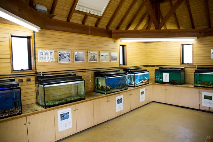 水海道あすなろの里 ミニ水族館