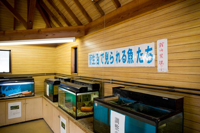 水海道あすなろの里 ミニ水族館
