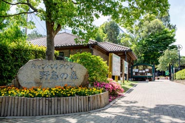 キャンベルタウン野鳥の森 大吉公園 埼玉県越谷市 公園へ行こう