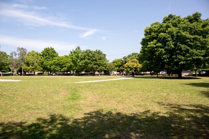 キャンベルタウン公園（鷺高第五公園）　芝生広場