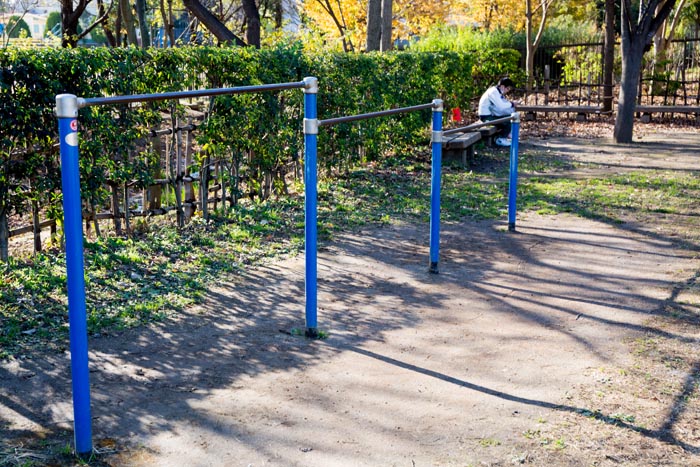 合併記念見沼公園 遊具