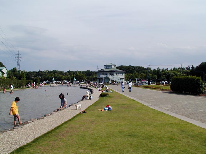 大宮花の丘農林公苑 さいたま市西区 上尾市 親水広場 水遊び 公園へ行こう