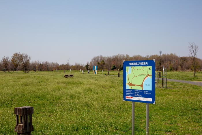 羽生水郷公園 健康の広場 健康遊具