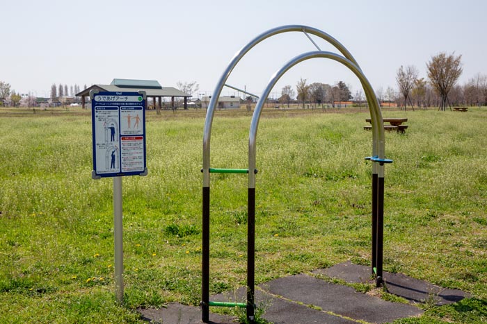 羽生水郷公園 健康の広場 健康遊具 1.うであげアーチ
