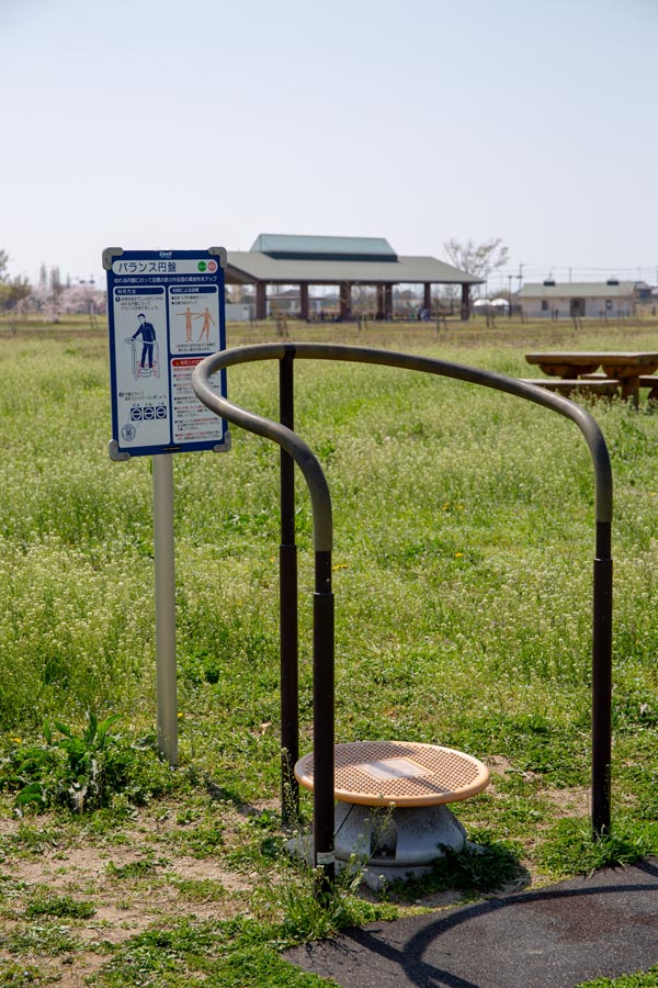 羽生水郷公園 健康の広場 健康遊具 2.バランス円盤