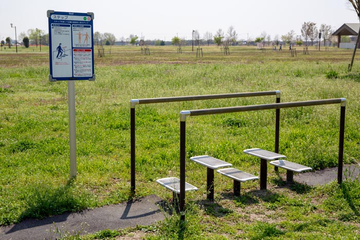 羽生水郷公園 健康の広場 健康遊具 9.ステップ