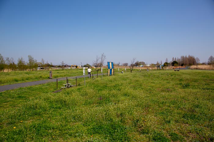 羽生水郷公園 健康の広場 健康遊具
