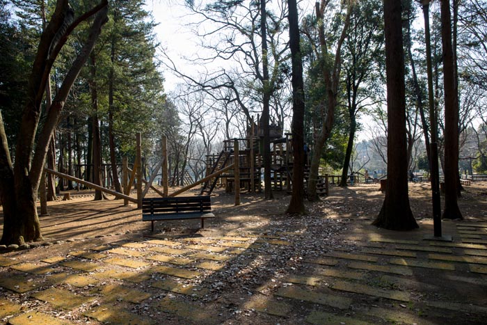 平塚公園 フィールドアスレチック