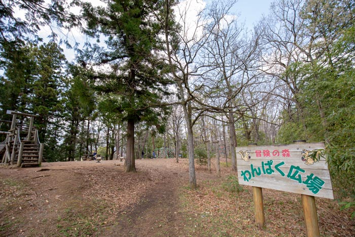 羊山公園 埼玉県秩父市 冒険の森 わんぱく広場 アスレチック 公園へ行こう