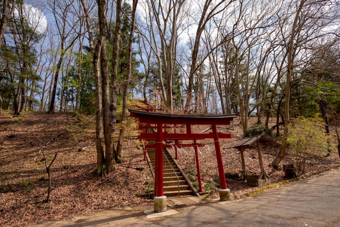 羊山公園 冒険の森わんぱく広場(アスレチック)