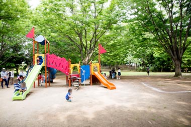 伊奈町町制施行記念公園　複合遊具