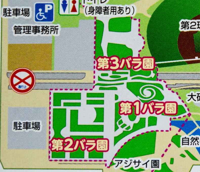 伊奈町町制施行記念公園　バラ園　配置図