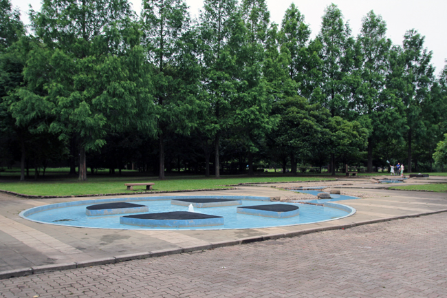 伊奈町町制施行記念公園　水辺の広場全景