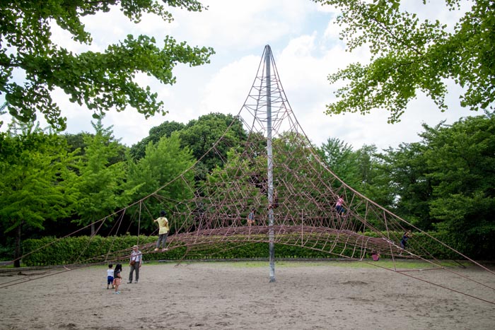 岩槻文化公園 遊具 立体蜘蛛の巣