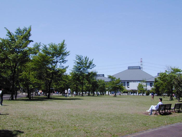 岩槻文化公園(槻の森公園) 芝生広場