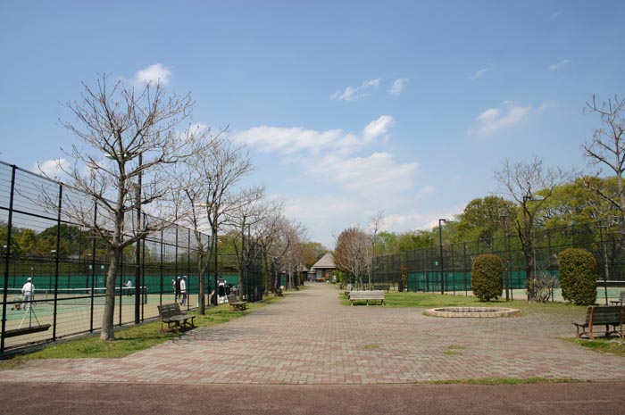 岩槻文化公園(槻の森公園) テニスコート