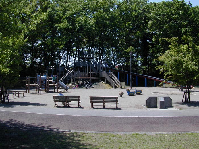 岩槻文化公園(槻の森公園) フィールドアスレチック