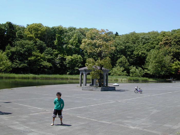 岩槻文化公園(槻の森公園) 村国池