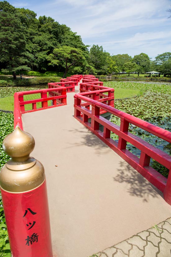 岩槻城址公園 八ツ橋と菖蒲池