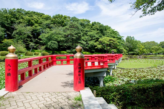 岩槻城址公園 八ツ橋と菖蒲池