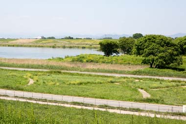 利根川河川敷緑地公園