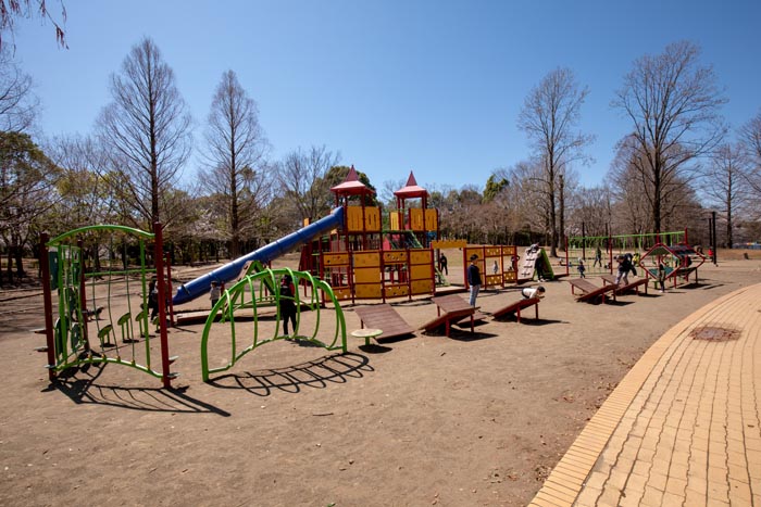 柏の葉公園 千葉県柏市 冒険のトリデ 大型複合遊具の広場 公園へ行こう