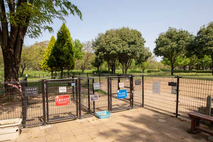 川越公園(川越水上公園) ドッグラン入口