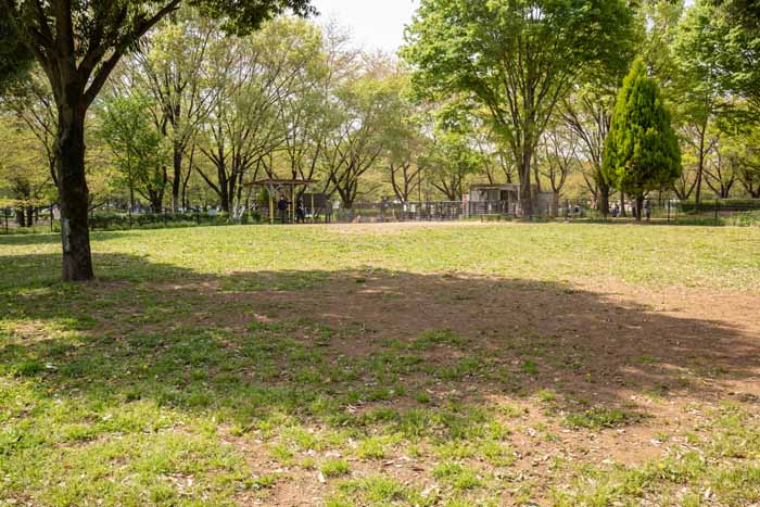 川越公園(川越水上公園) ドッグラン フリーエリア