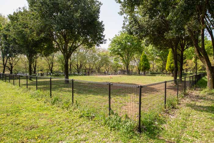 川越公園(川越水上公園) ドッグラン フリーエリア
