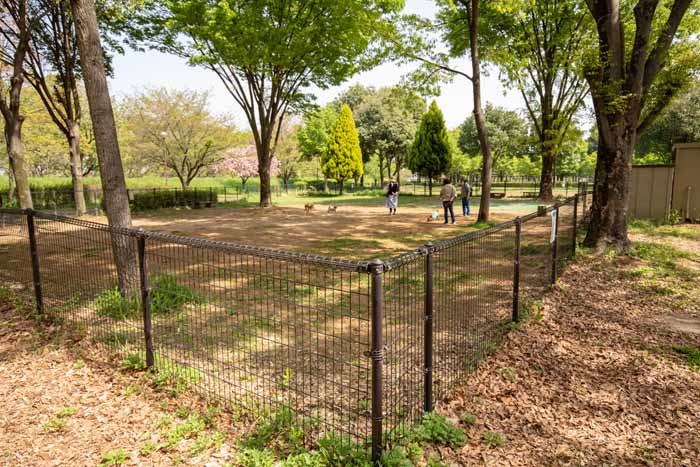 川越公園(川越水上公園) ドッグラン 小型犬エリア