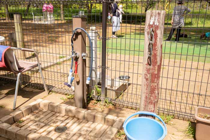 川越公園(川越水上公園) ドッグラン 水飲み場