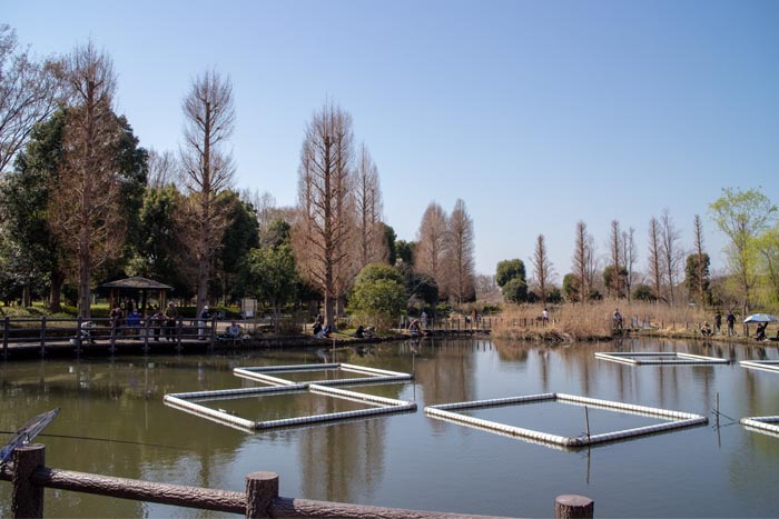 川口自然公園 埼玉県川口市 公園へ行こう