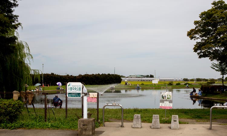 川里中央公園 弁天池