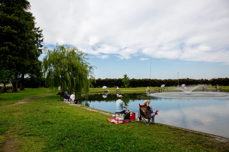 川里中央公園 弁天池