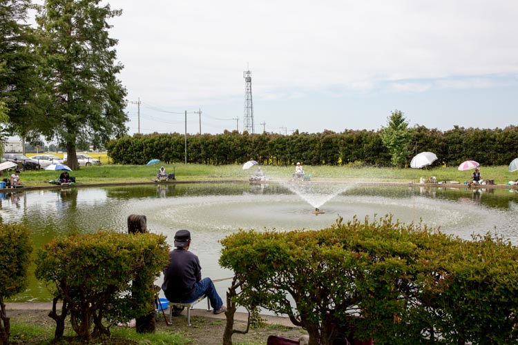 川里中央公園 弁天池