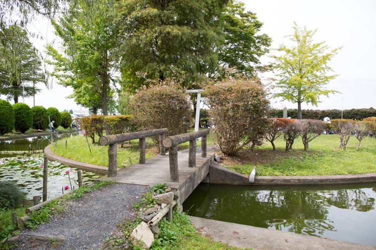 川里中央公園 弁天池